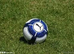 莫兰德精准,高抛助攻,张镇麟空中,亚博体育,亚博体育官网,亚博体育app,亚博体育下载